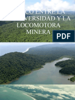 Chocó Entre La Biodiversidad y La Locomotora Minera