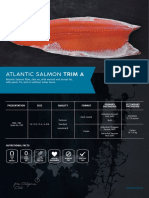 Atlantic Salmon Trim A: From Patagonia, Chile