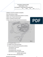 Fichatrabalhon1noesbsicasdehereditariedadeintroduo 100220145003 Phpapp01