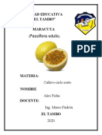 Passiflora Edulis: Unidad Educativa "El Tambo" Maracuya