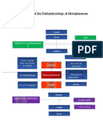 Histoplasmois Concept Map