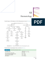 Haematology: Normal Sequence of Development of Cells of Haematopoietic System