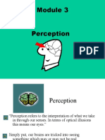 Module 3, Preception