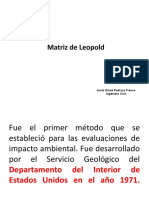 Teoria de Matriz de Leopold