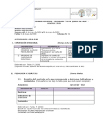 Modelo de Informe de Teletrabajo