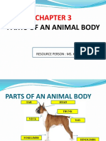 Parts of An Animal Body: Resource Person: Ms. Kamna