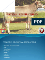 Sistema Respiratorio Animal