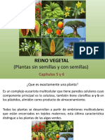 5 y 6. Reino Vegetal