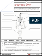 Sistema Oseo PDF