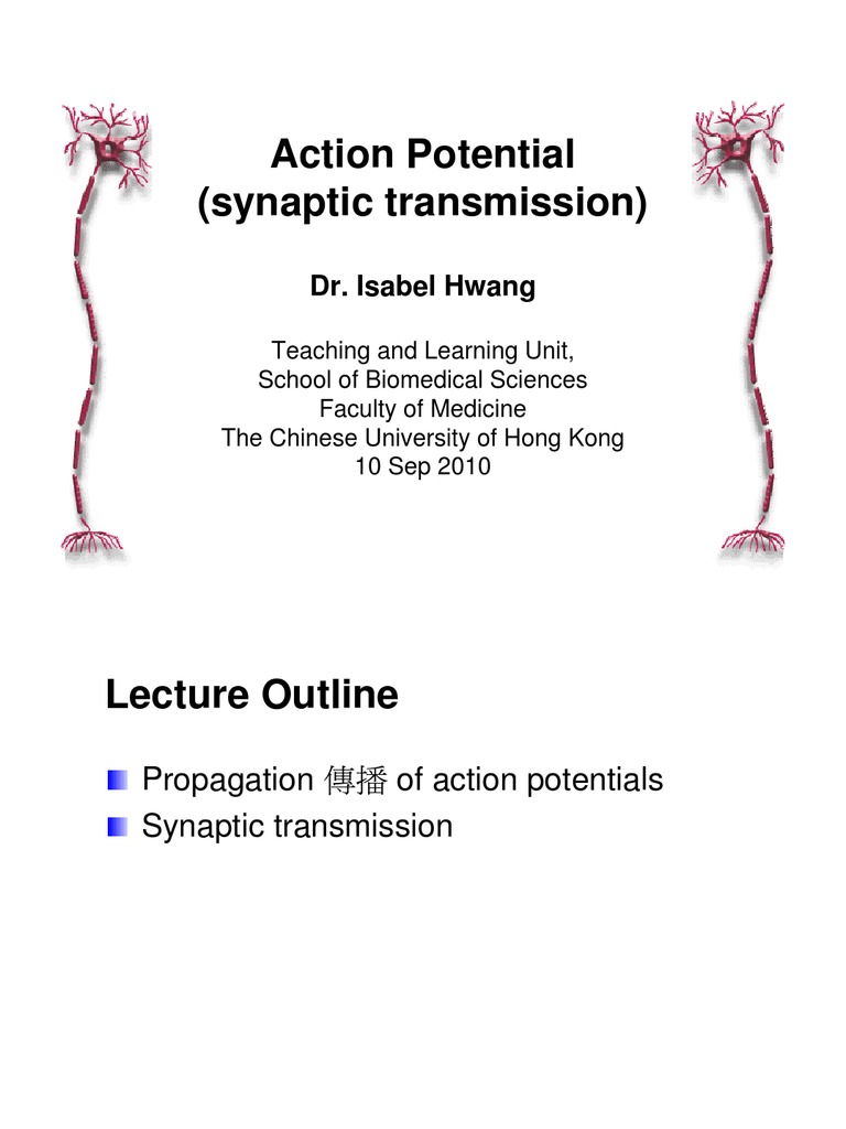 Action Potential and Synaptic Transmission | PDF | Chemical Synapse ...