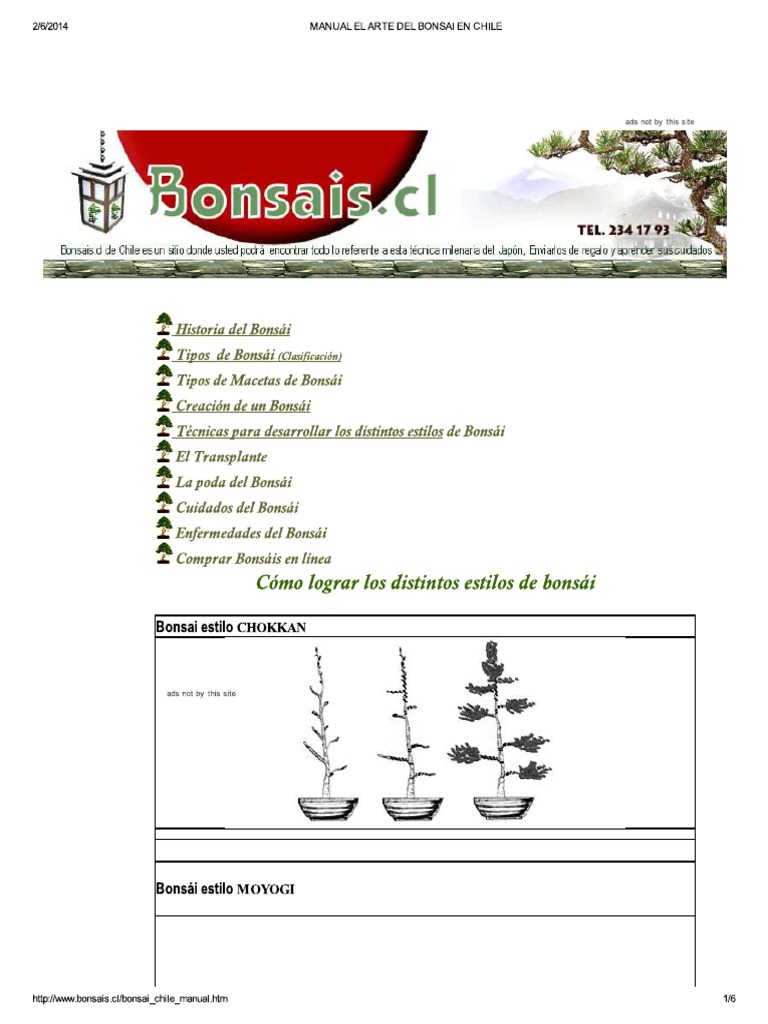 Manual El Arte Del Bonsai en Chile PDF
