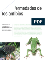 3_Enfermedades_anfibios.pdf