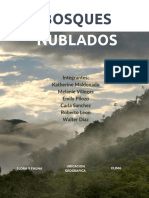 Bosque Nublado PDF