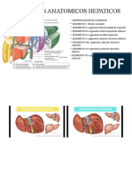 Segmentos Anatomicos Hepaticos.