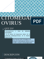 CITOMEGALOVIRUS