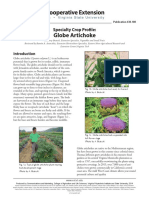 Globe Artichoke: Specialty Crop Profile