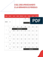 Cronograma Curso PDF