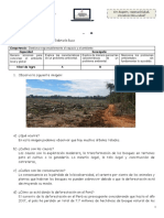 Ficha Investigamos Sobre La Deforestación