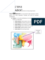 Actividad N°9 Anatomia Aplicada