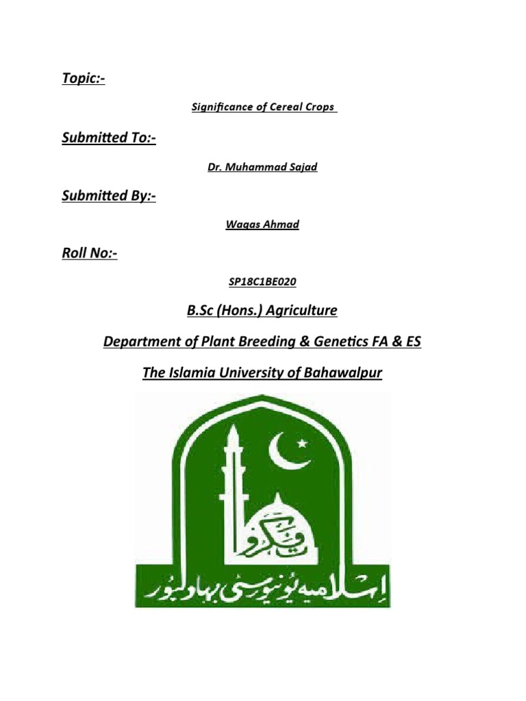 Significance of Cereal Crops PDF Cereals Agriculture