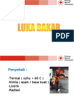 09 Luka Bakar