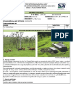 Ficha Balcones PDF