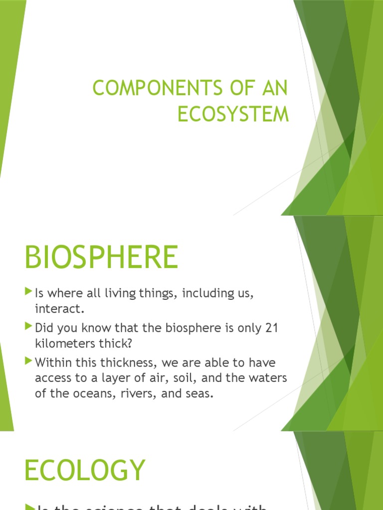 Intro to Ecosystem Dynamics | PDF