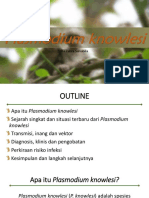 Plasmodium Knowlesi