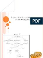 Aula 8 Fosforilacao Oxidativa PDF