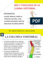 Anatomía y fisiología de la columna vertebral: 26 huesos, curvaturas y ligamentos