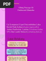 Download Gilang Proyoga Ali  Findrawaty by Gilang Prayoga Ali SN46866927 doc pdf