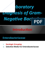 C19 - Enterobacteriaceae - P2