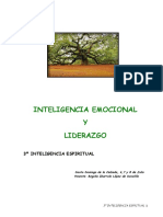 Inteligencia Espiritual