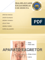 Aparato excretor.pptx