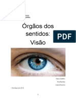 Órgãos Dos Sentidos - Visão