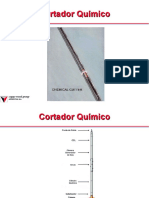 Recuperacion_Cort-Quimico