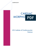 Cardiac Morphology Book