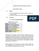 Origen y clasificación de 5 hortalizas