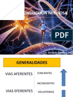 Vías de Conducción Nerviosa