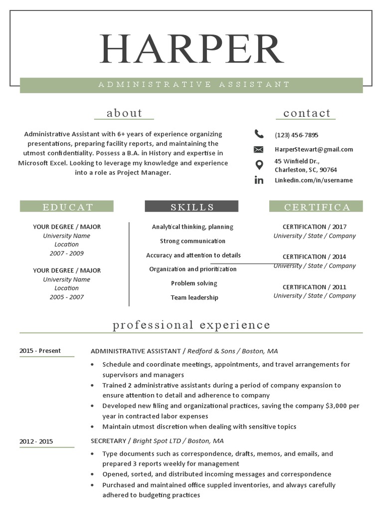 Olive Windsor Resume Template PDF Business