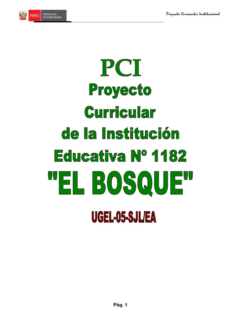 MODELO Proyecto Curricular Institucional PCI | PDF | Plan de estudios ...