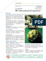 biblioteca_hojas_alcachofa.pdf