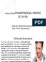 Glossopharyngeal Nerve (CNIX) : WG CDR Abhishek Banerjee Asst. Prof (Anatomy)