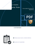 Sistema Masa Resorte-Cauchy Euler