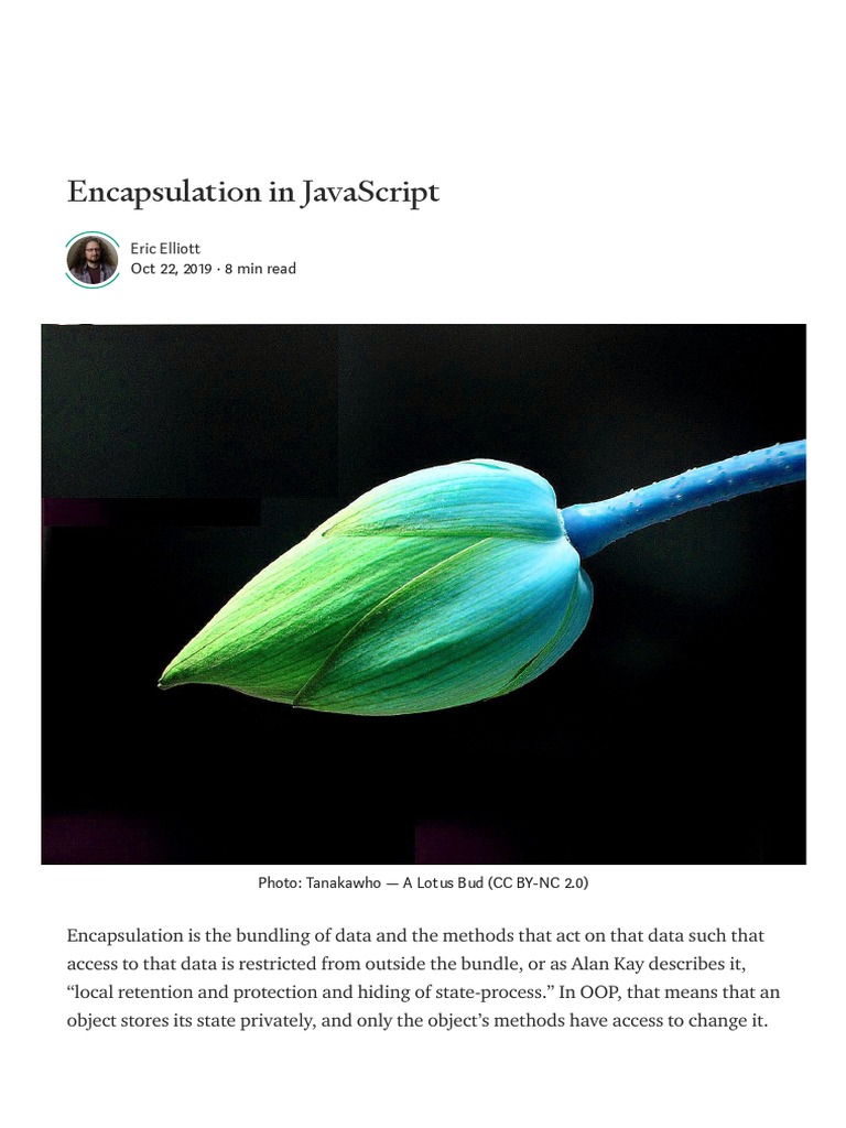 Encapsulation in JavaScript. Encapsulation Is The Bundling of Data - by ...