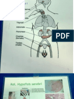 Praktikum Histologi PDF