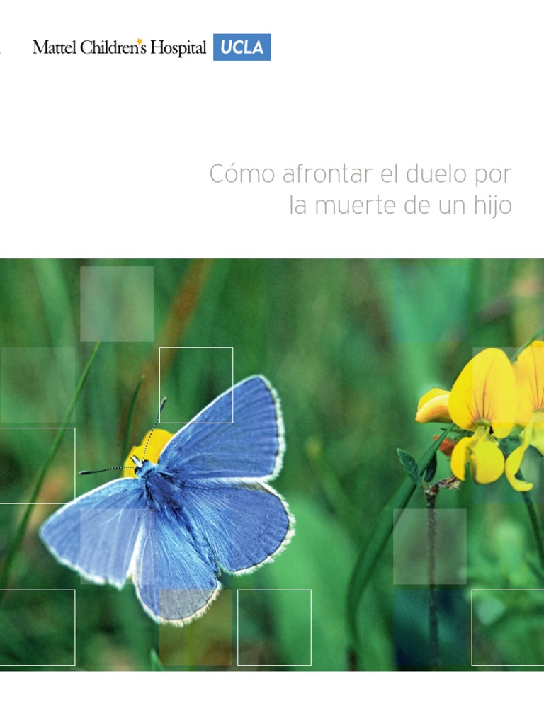 Cómo Afrontar El Duelo Por La Muerte de Un Hijo | PDF | Human ...