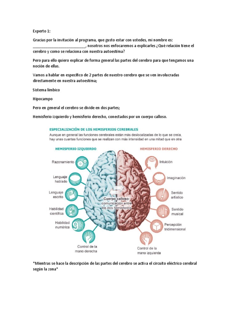 Autoestima Cerebro | PDF | Cerebro | Sistema límbico