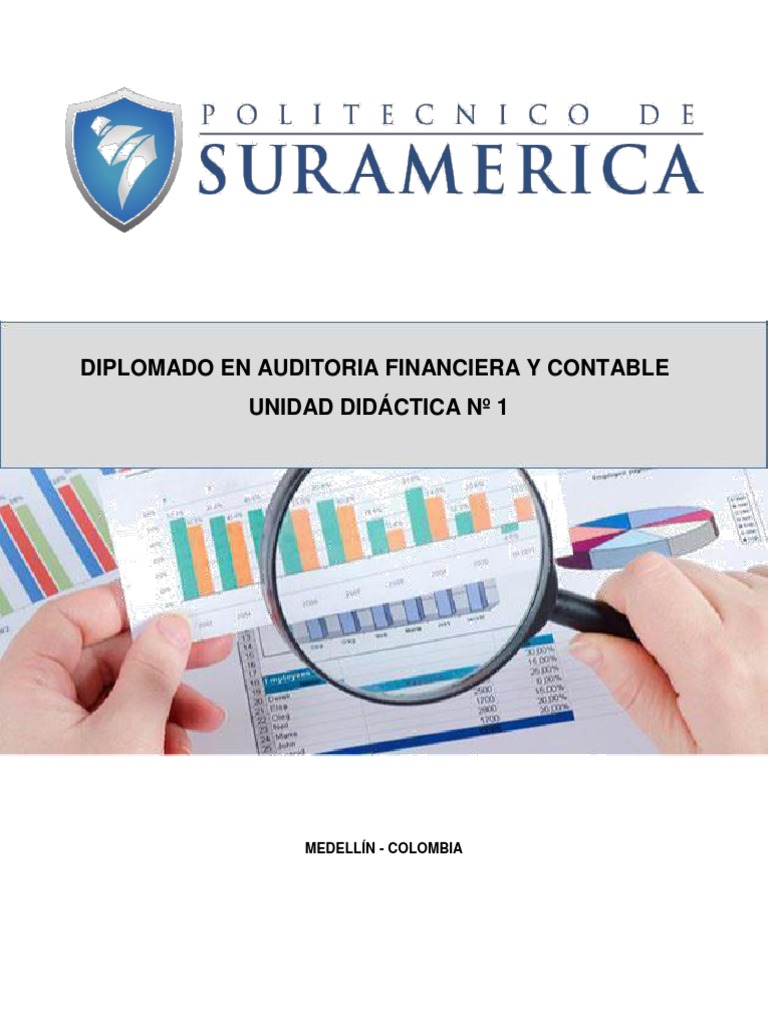 Diplomado en Auditoría Financiera | PDF | Auditoría financiera | Auditoría
