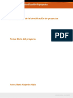 03a Ciclo del proyecto.pdf
